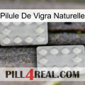Natural Vigra Pill 17